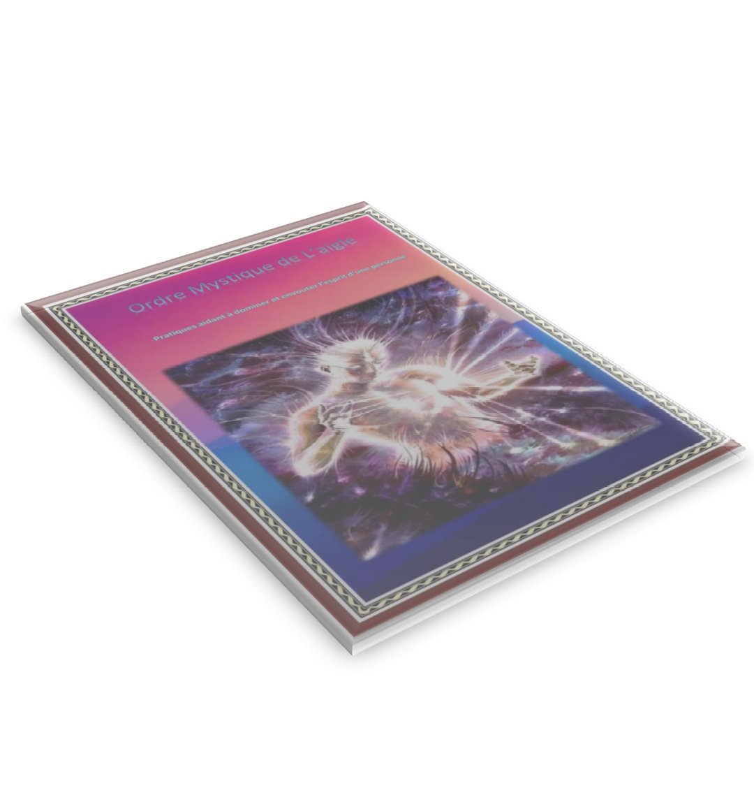 ʟ'ᴀʀᴄʜɪᴛᴇᴄᴛᴜʀᴇ ɪɴᴠɪsɪʙʟᴇ : ʟᴇs ʟᴏɪs ᴄᴀᴄʜᴇ́ᴇs ᴅᴇ ʟ'ᴀᴛᴛʀᴀᴄᴛɪᴏɴ ᴄᴏsᴍɪϙᴜᴇ