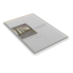 ʟ'ᴀᴜʙᴇ ɪɴᴠɪsɪʙʟᴇ { ᴠɪᴇ ᴀᴘʀᴇ̀s ʟᴀ ᴍᴏʀᴛ}