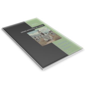 ʟ'ᴀʀᴛ ᴅᴇs ᴏᴍʙʀᴇs ᴇᴛ ᴅᴇ ʟᴀ ʟᴜᴍɪᴇ̀ʀᴇ : ᴄᴏɴɴᴀɪssᴀɴᴄᴇs ᴇᴛ ᴘʀᴀᴛɪϙᴜᴇs sᴏʀᴄɪᴇ̀ʀᴇs