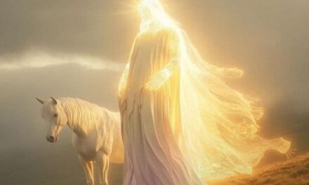 Purification, Décision et Réalisation