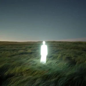 ʟ'ᴇ́ᴠᴇɪʟ ᴅᴜ ᴛᴇᴍᴘʟᴇ ɪɴᴛᴇ́ʀɪᴇᴜʀ : ᴄᴏᴍᴍᴇɴᴛ ʟ'ɪɴɪᴛɪᴀᴛɪᴏɴ ғʟᴇᴜʀɪᴛ ᴅᴀɴs ʟ'ᴀ̂ᴍᴇ ʜᴜᴍᴀɪɴᴇ